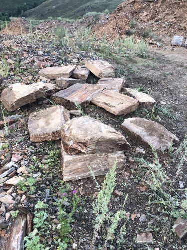 Пошаговая дорожка из плит златолит кора дерева купить в Нижневартовске